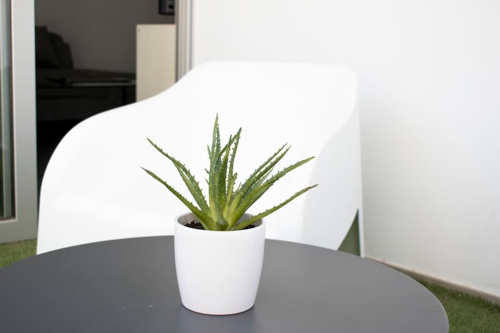 Glabur Stays - The Amazing 1 Bdr - Executive Apt Nicosia Center Free Parking & Wifi 外观 照片